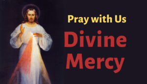 Divine Mercy widget 1